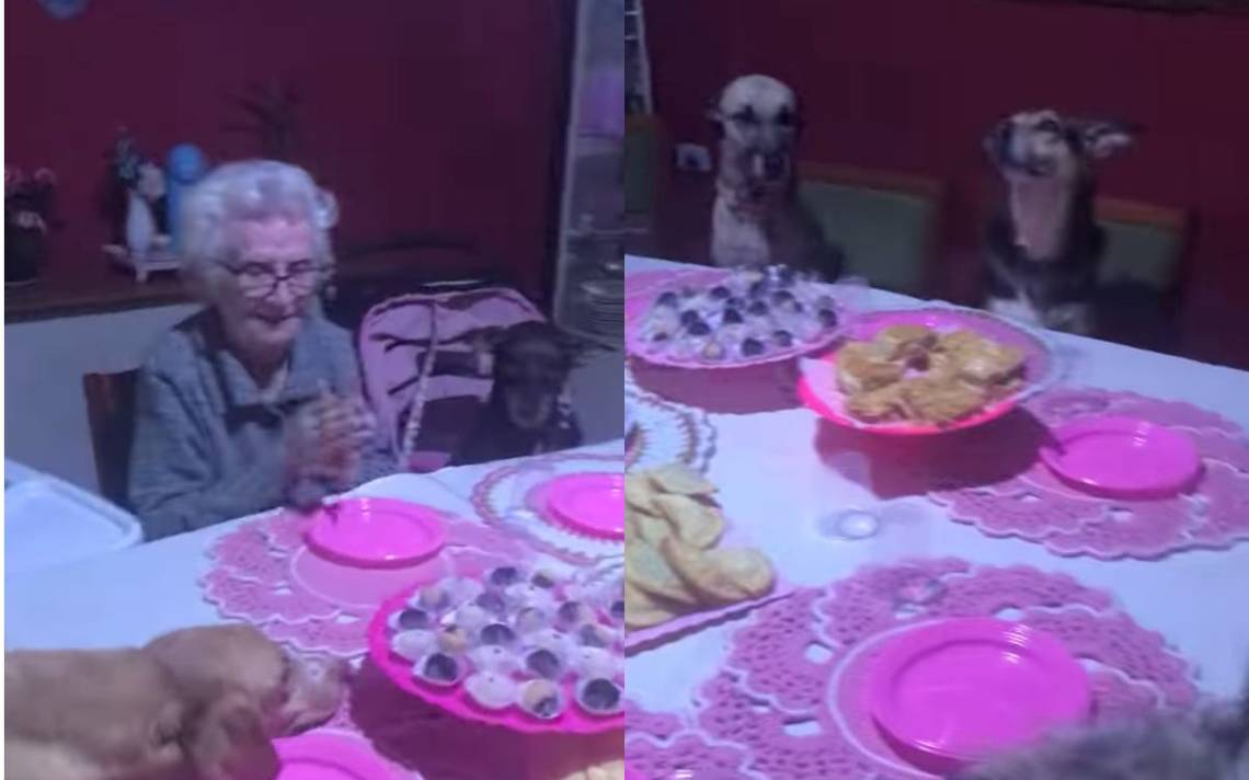 Abuelita Festeja Su Cumpleaños Al Lado De Sus Perros Y Sorprende A Las Redes Video El Sol De